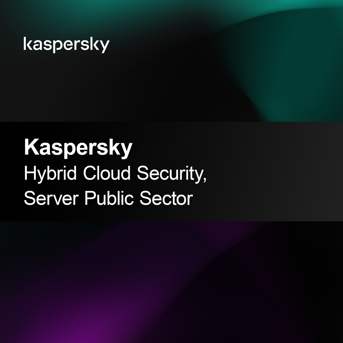 Kaspersky Seguridad en la Nube Híbrida, Servidor Sector Público